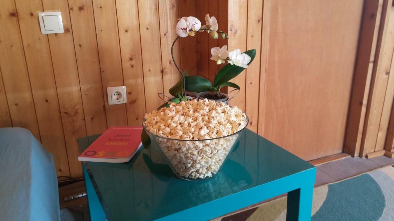 Apartman Joy Nin Bagian luar foto